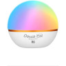 Фонарь OLIGHT OBULB PLUS WHITE 001058